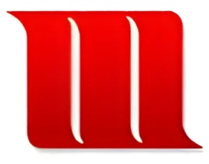 Martin Automatic Inc
