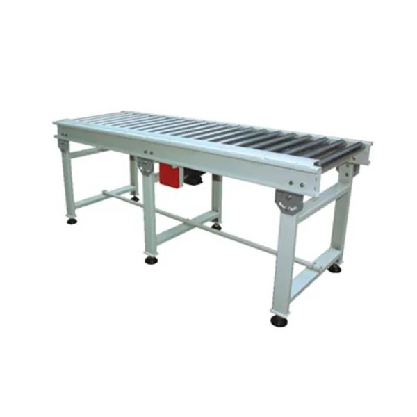 Mesa transportadora de rodillos TE2N-F